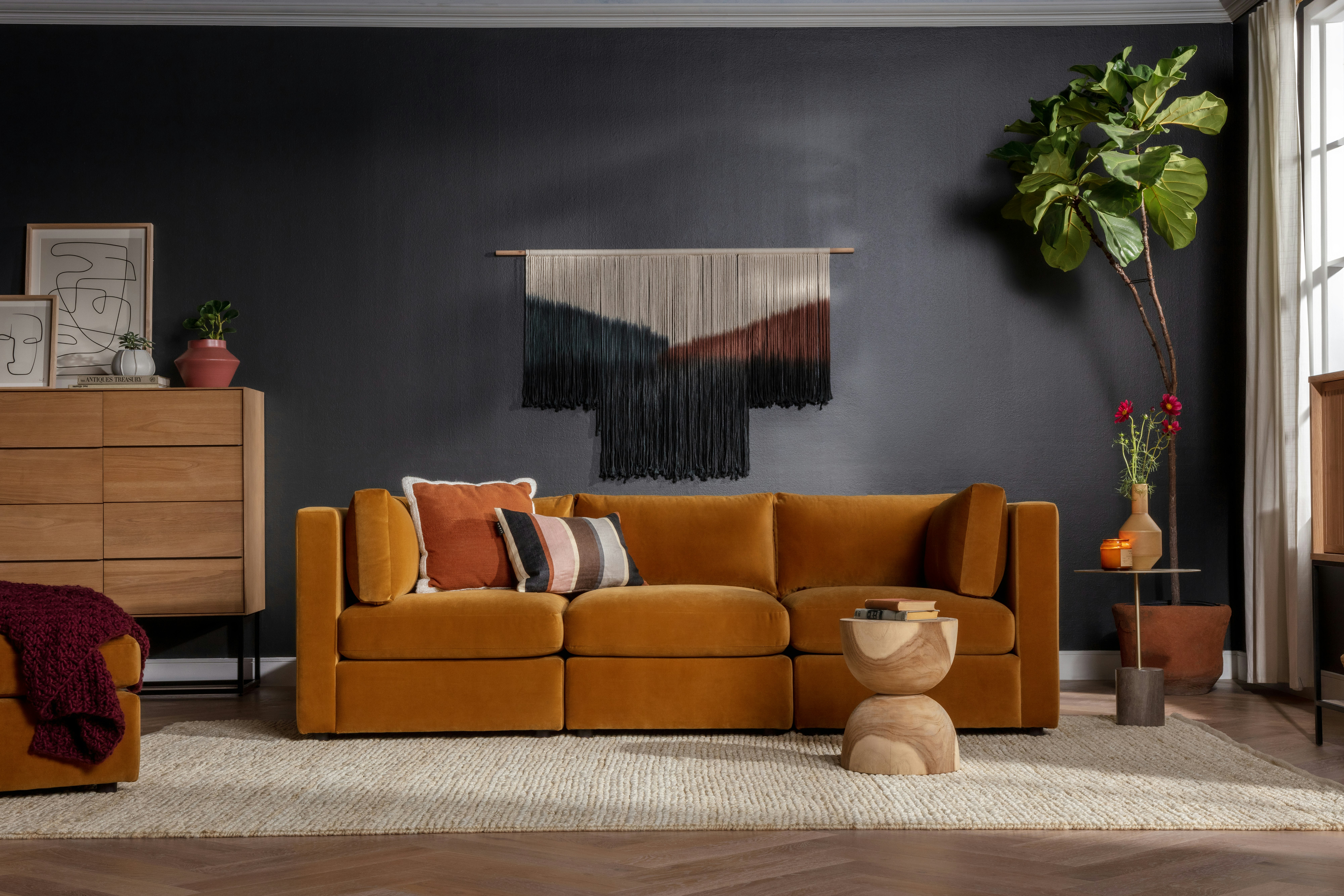 Daya Collection Joybird